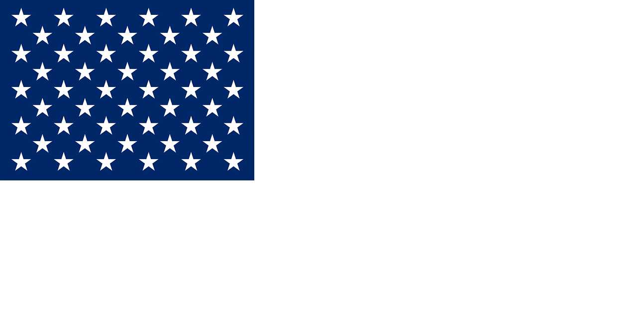 United States of America flag without stripes